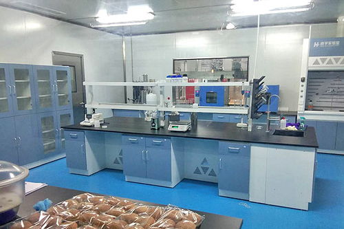 食品行業(yè)凈化車(chē)間方案設(shè)計(jì)與企業(yè)策劃全解析